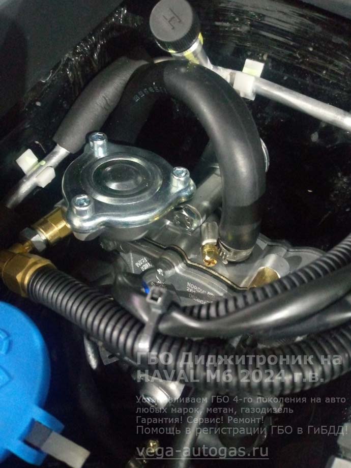 детали ГБО Digitronic, установка на Хавейл М6, 2024 г.в., 1.5 л., 143 л.с., с пробегом 1 000 км., ВЗУ в лючке бензобака, тороидальный баллон 73 литра в багажнике, в нише для запасного колеса, Нижний Новгород, Дзержинск