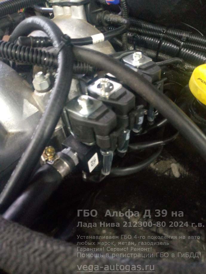 газовая рампа Альфа Д39, установка на Ладу Нива Тревел 2024 г.в., 1.7 л., 80 л.с., пробег: 11 140 км., цилиндрический баллон 60 литров в багажнике, за задним рядом сидений, ВЗУ в лючке бензобака, Нижний Новгород, Дзержинск