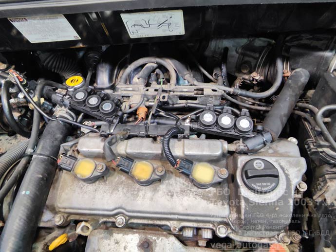 газовая рампа Digitronic, установка на Тойота Сиенна, 2003 г.в., полный привод 4х4, 3.3 л., 230 л.с., с пробегом 214 646 км., миниВЗУ в лючке бензобака, тороидальный баллон 60 литров в багажнике, в нише под 3-и рядом сидений, Нижний Новгород, Дзержинск