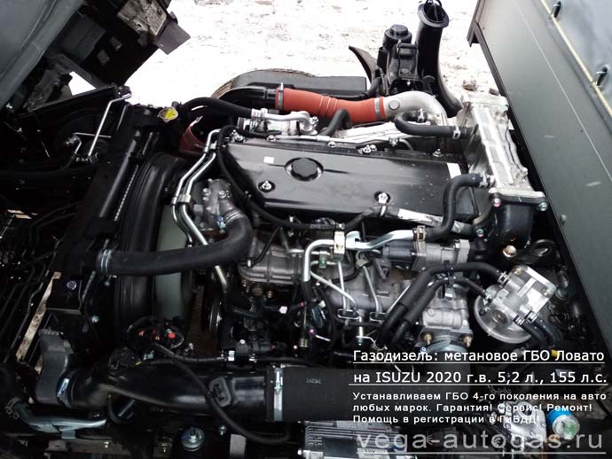 метановое ГБО Lovato в подкапотном пространстве, установка газодизеля на Исузу Эльф 7.5 2020 г.в., 5.2 л., 155 л.с., пробег 124 км., четыре цилиндрических баллона по 50 литров посередине, под кузовом, Нижний Новгород, Дзержинск